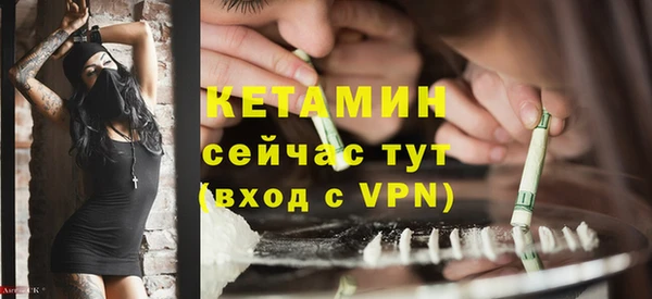 прущие грибы Пересвет
