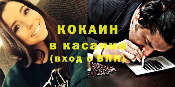 прущие грибы Пересвет