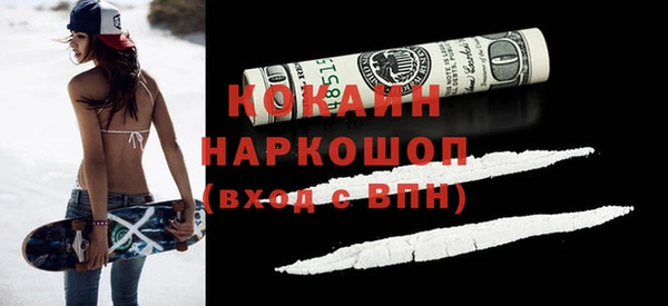 прущие грибы Пересвет