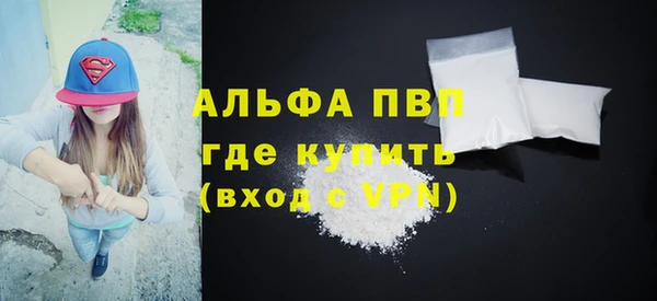 прущие грибы Пересвет