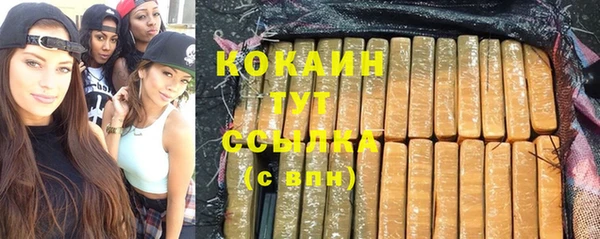 прущие грибы Пересвет