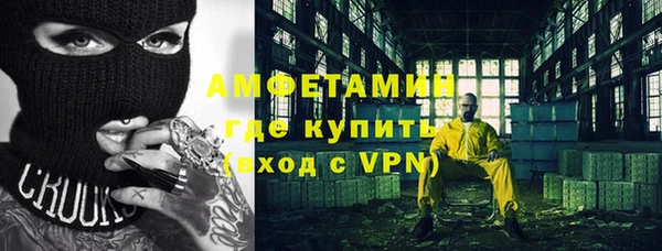 прущие грибы Пересвет