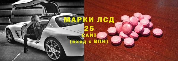 прущие грибы Пересвет